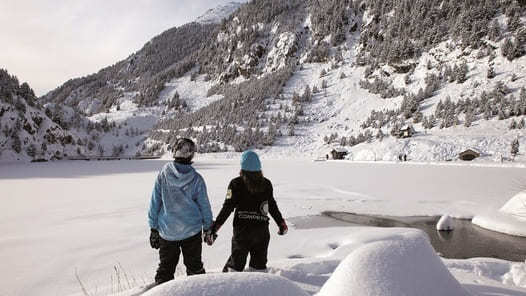 Pyrenees' Snow Experience Tour