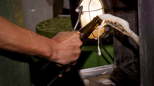 Wine and Cava Experience