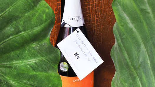 Wine and Cava Experience